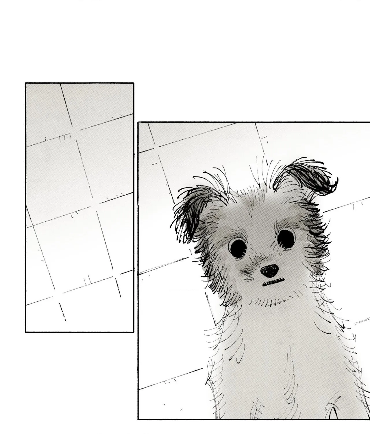 Immortal Days Chapter 294 page 5 - 