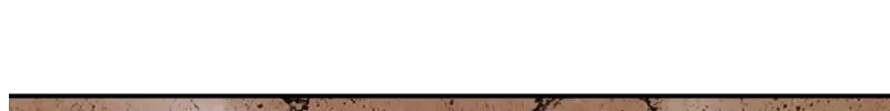 Impure Blood Regression Chapter 3 page 243 - 