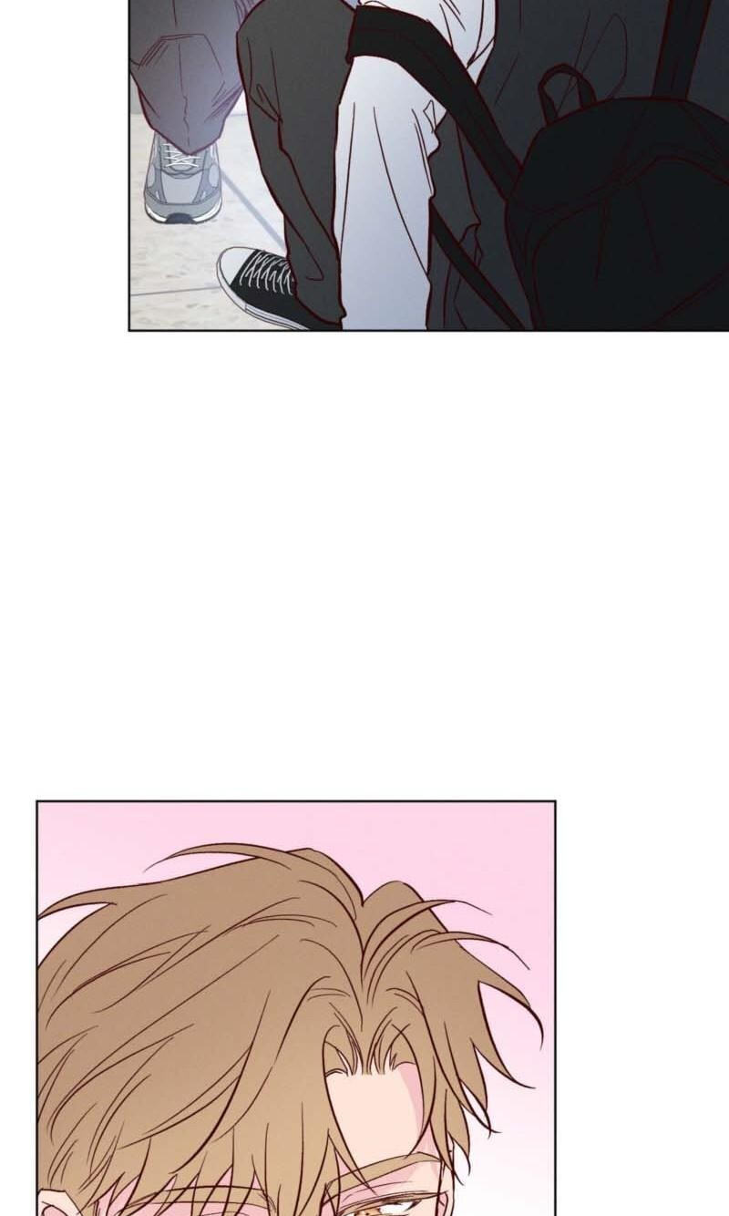 In Your Wake Chapter 65.1 page 19 - 