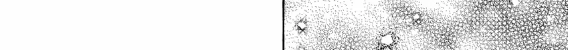 Inari no Kekkon Chapter 1 page 12 - 