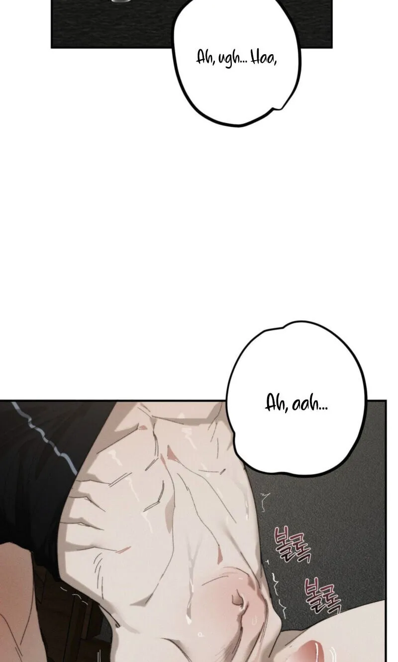 Incomplete Combustion Chapter 30 page 27 - 