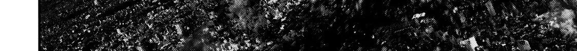 Inuyashiki Chapter 65 page 20 - 