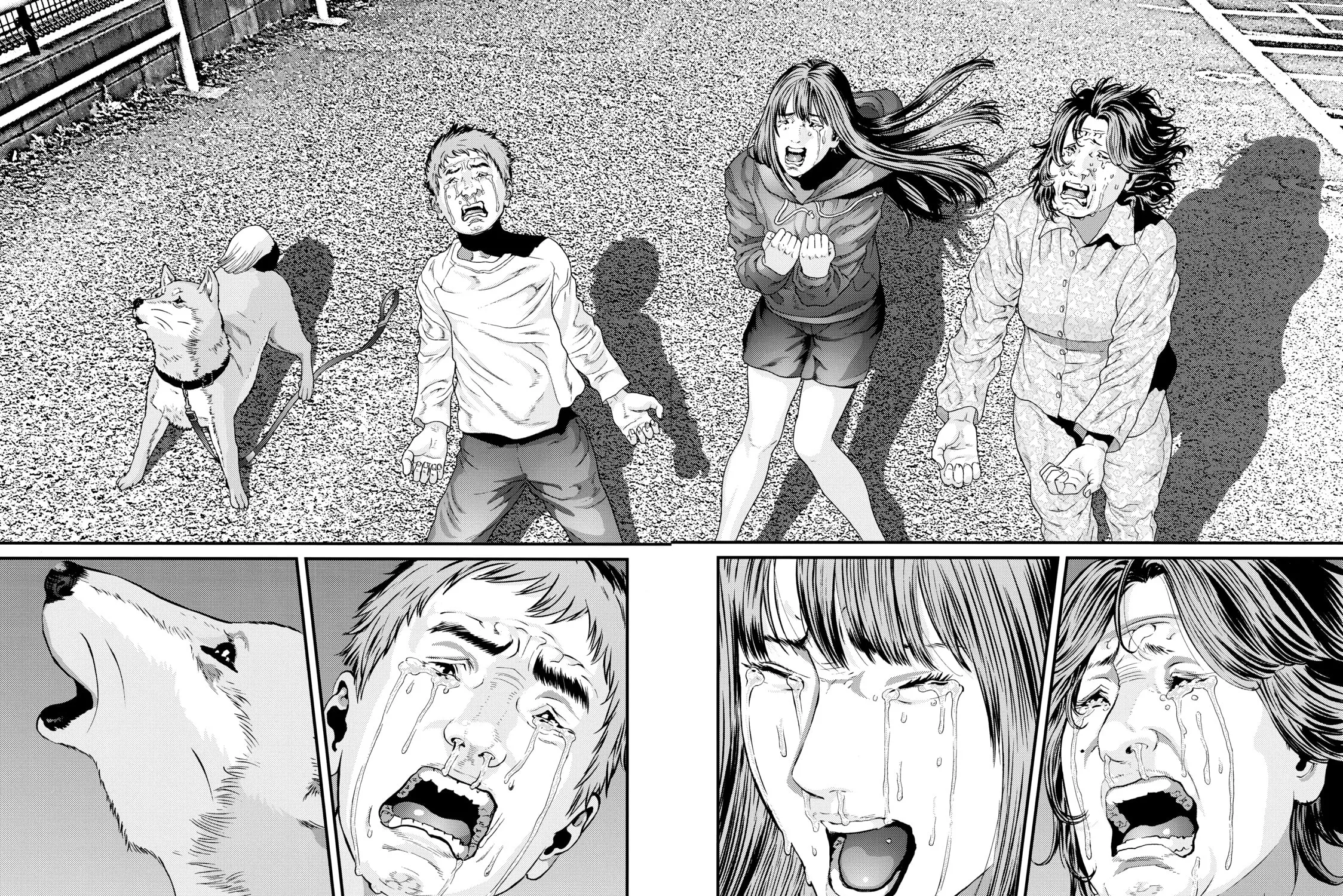 Inuyashiki Chapter 85 page 9 - 