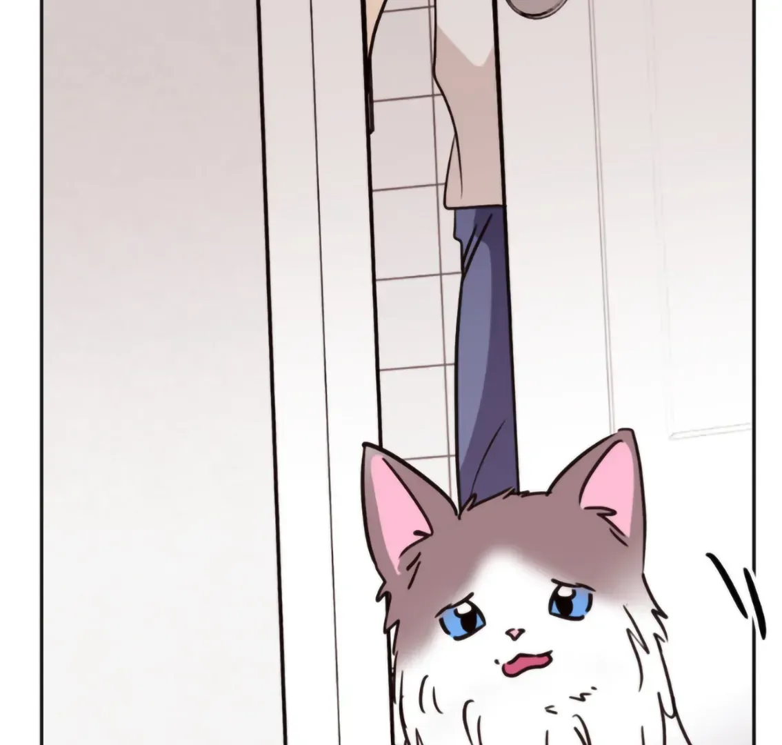Involuntary Romance Chapter 19 page 133 - 