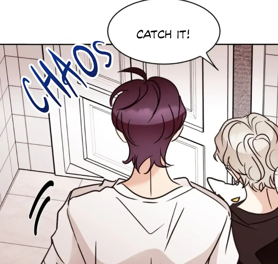 Involuntary Romance Chapter 19 page 135 - 