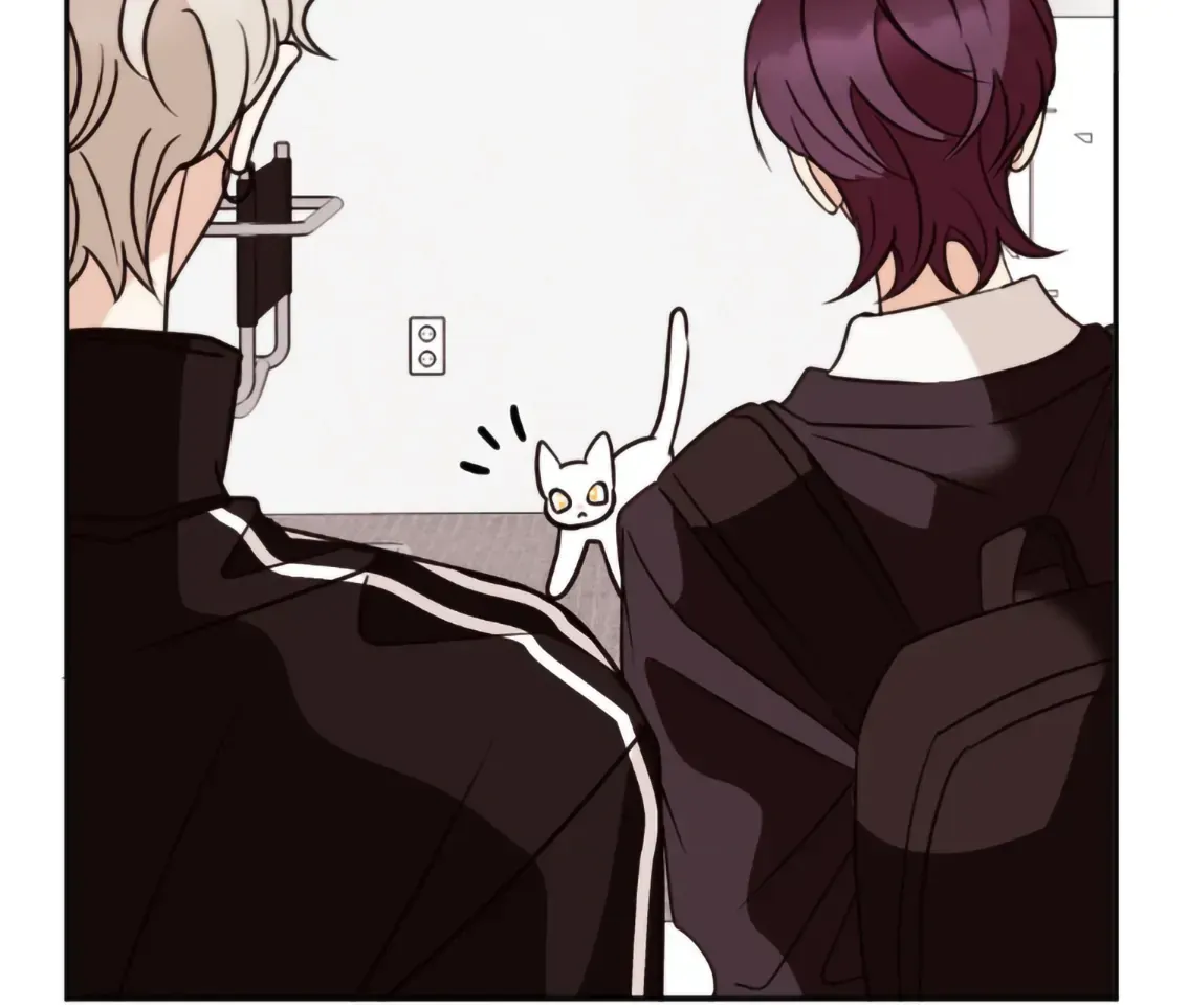 Involuntary Romance Chapter 19 page 69 - 