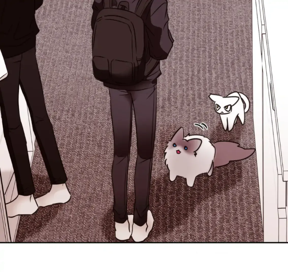 Involuntary Romance Chapter 19 page 74 - 
