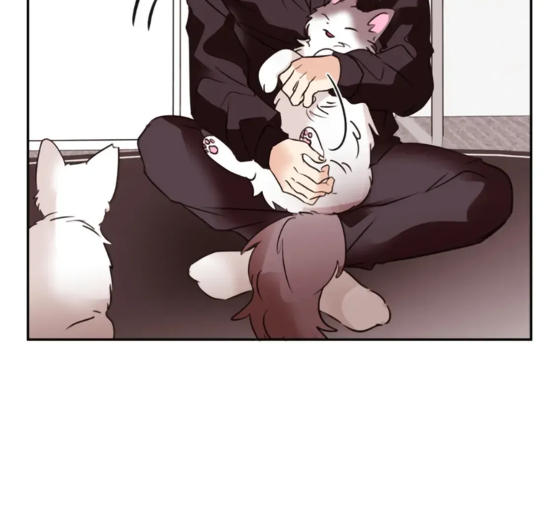 Involuntary Romance Chapter 19 page 78 - 