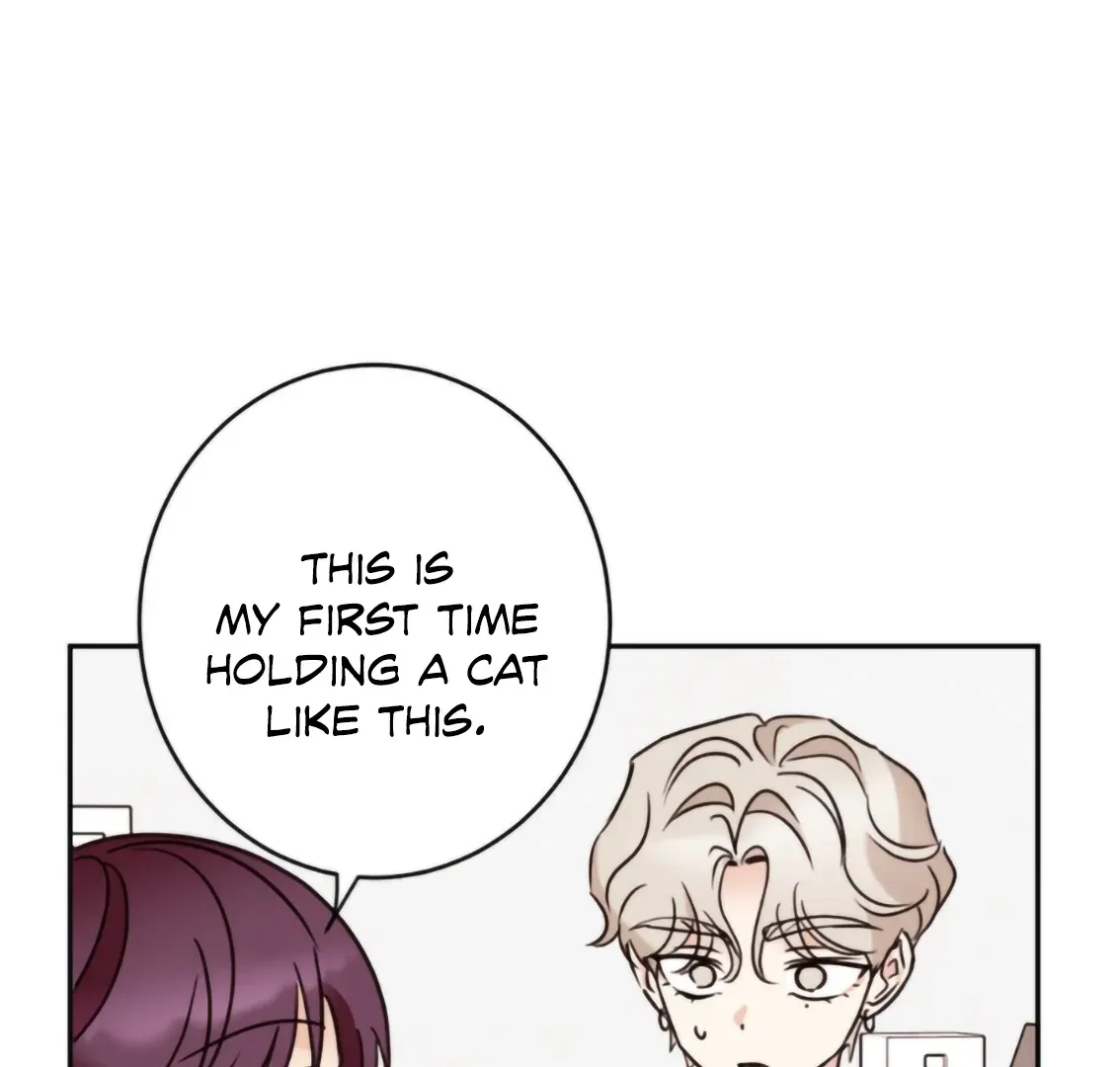 Involuntary Romance Chapter 19 page 79 - 