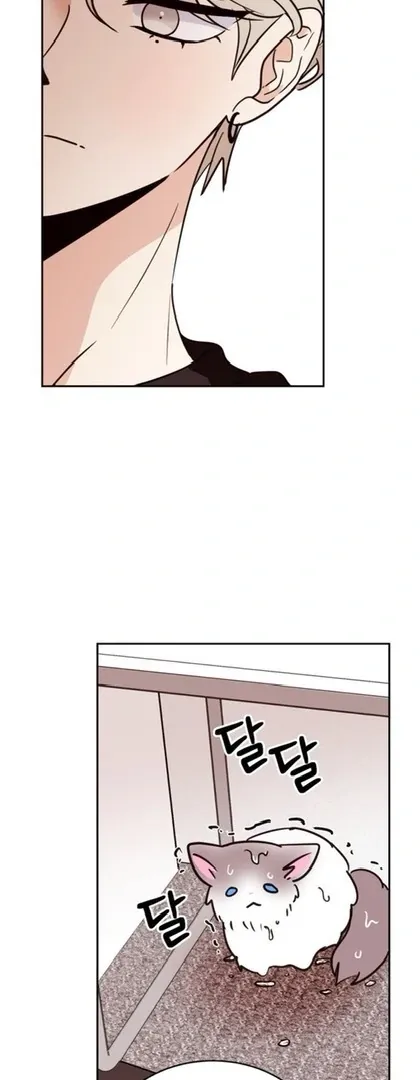 Involuntary Romance Chapter 20 page 13 - 