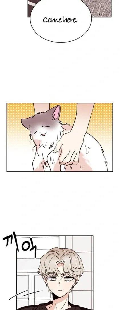Involuntary Romance Chapter 20 page 14 - 