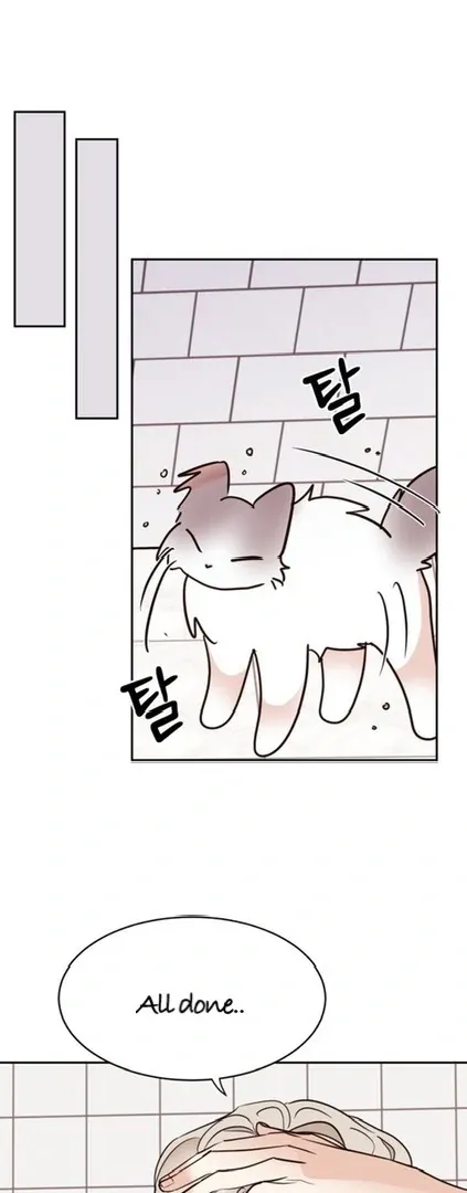 Involuntary Romance Chapter 20 page 17 - 