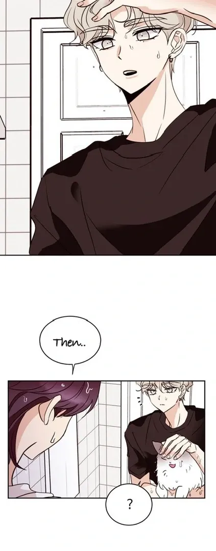 Involuntary Romance Chapter 20 page 18 - 