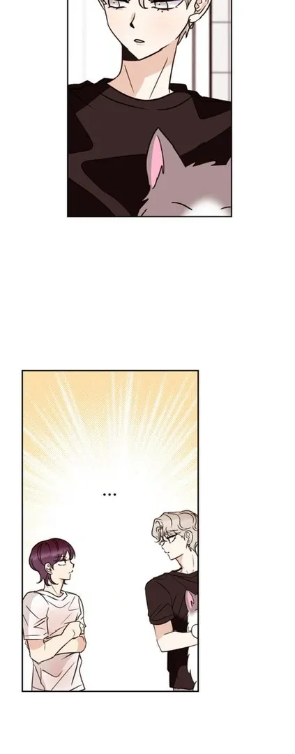 Involuntary Romance Chapter 20 page 21 - 