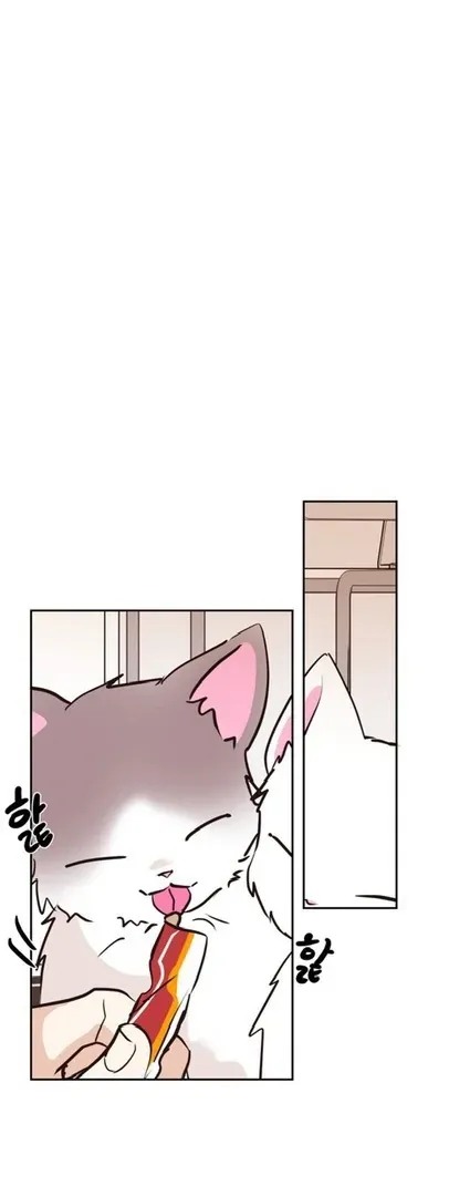 Involuntary Romance Chapter 20 page 28 - 