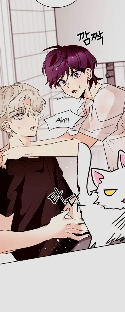 Involuntary Romance Chapter 20 page 4 - 