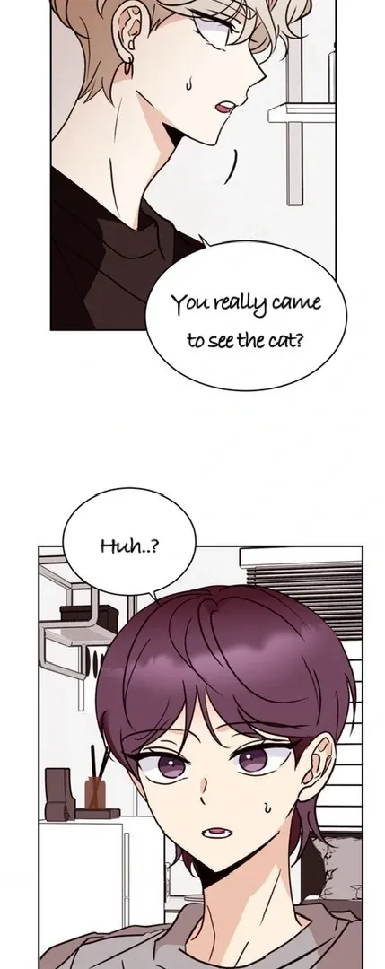 Involuntary Romance Chapter 20 page 45 - 