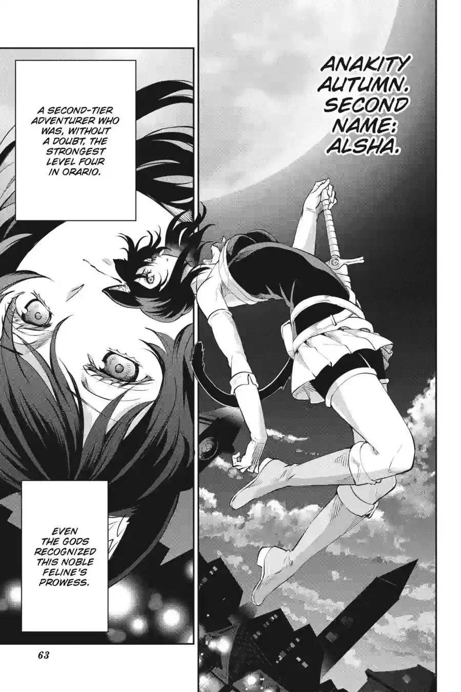 Is It Wrong to Try to Pick Up Girls in a Dungeon? On the Side: Sword Oratoria Chapter 11.8 page 15 - 