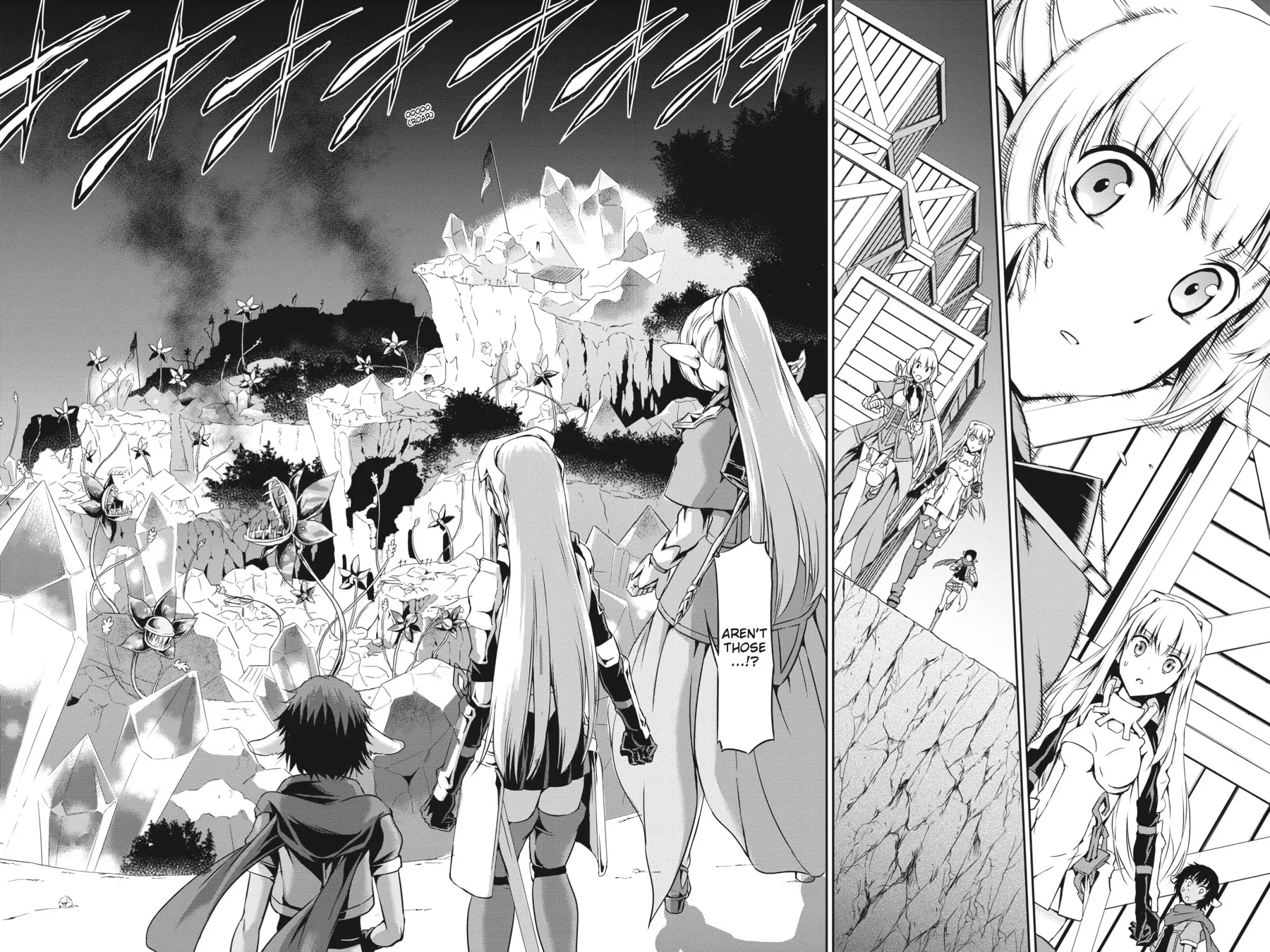Is It Wrong to Try to Pick Up Girls in a Dungeon? On the Side: Sword Oratoria Chapter 12 page 12 - 