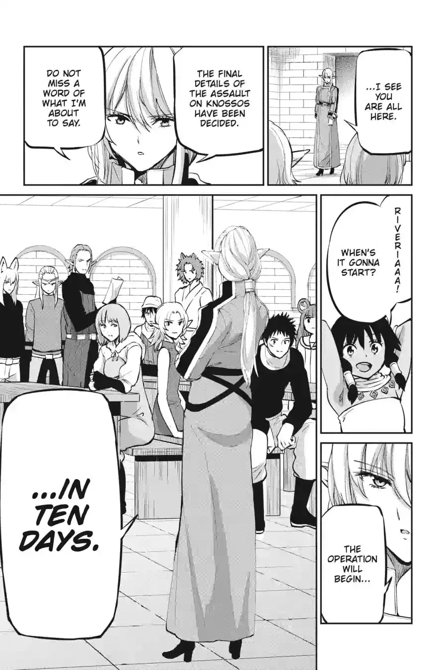 Is It Wrong to Try to Pick Up Girls in a Dungeon? On the Side: Sword Oratoria Chapter 15.6 page 13 - 
