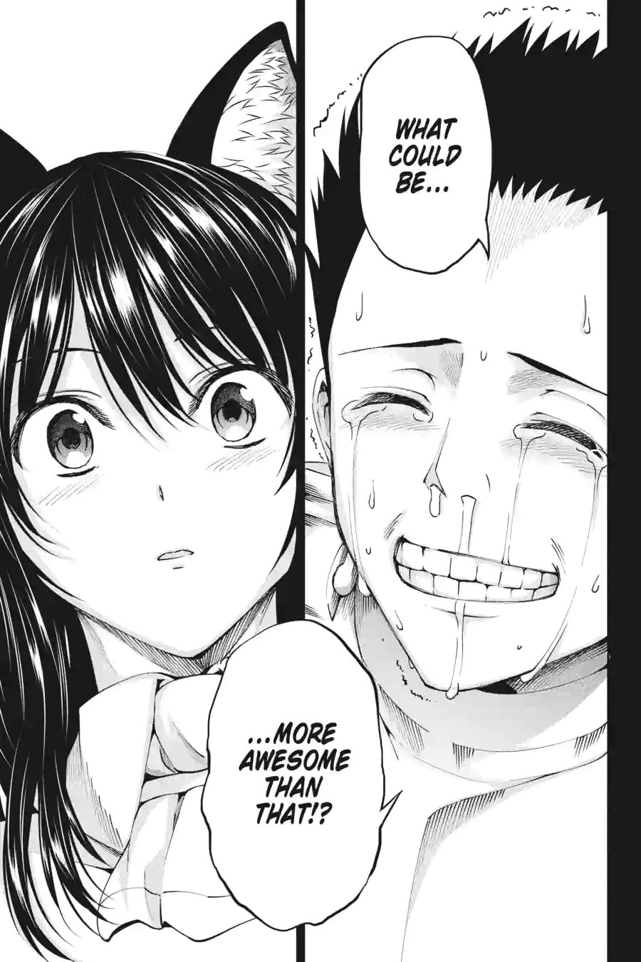 Is It Wrong to Try to Pick Up Girls in a Dungeon? On the Side: Sword Oratoria Chapter 165 page 11 - 