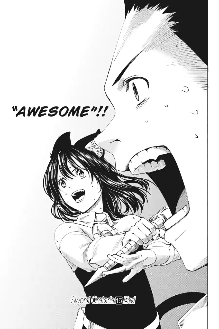 Is It Wrong to Try to Pick Up Girls in a Dungeon? On the Side: Sword Oratoria Chapter 166 page 18 - 
