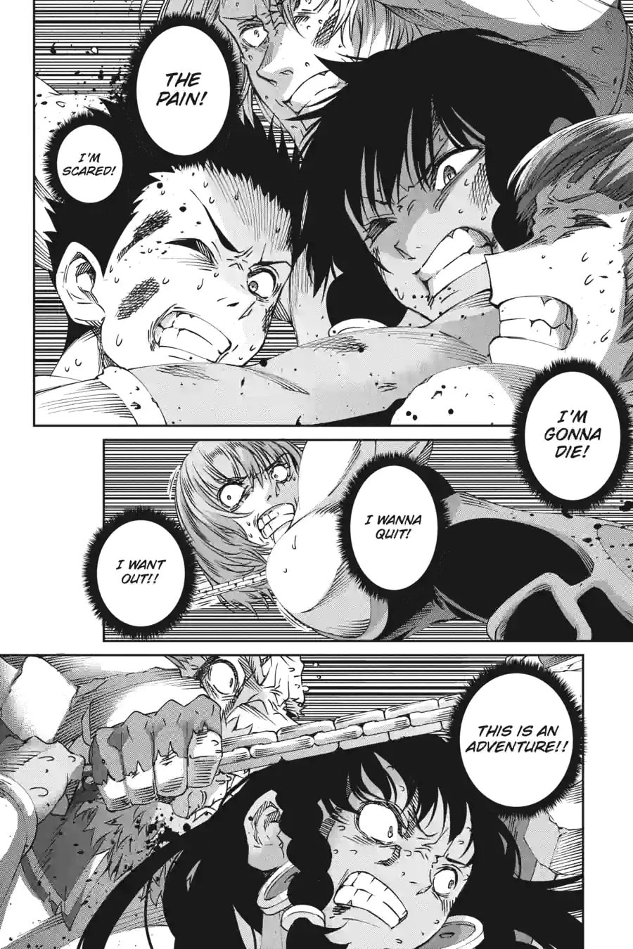 Is It Wrong to Try to Pick Up Girls in a Dungeon? On the Side: Sword Oratoria Chapter 172 page 14 - 