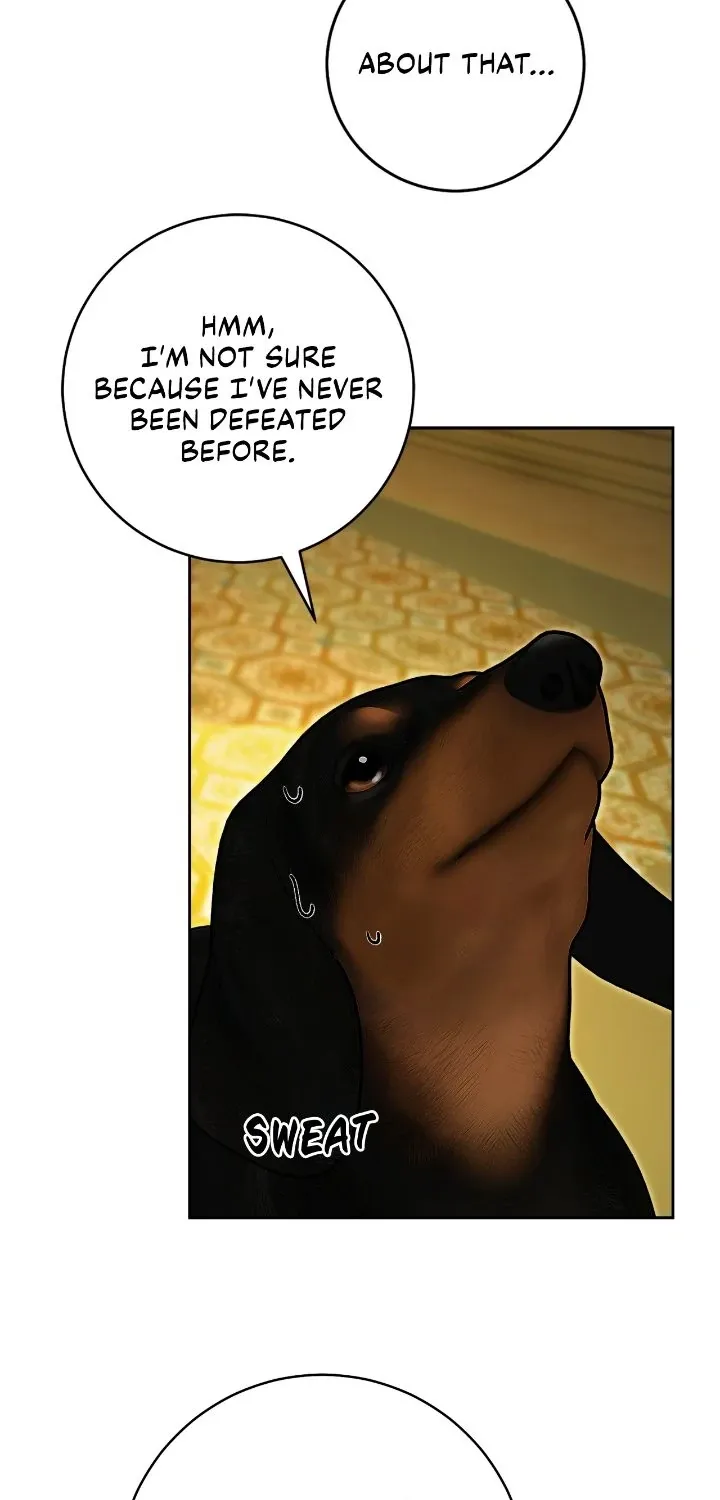Is this Your First Death Metal Siren? Chapter 33 page 4 - 