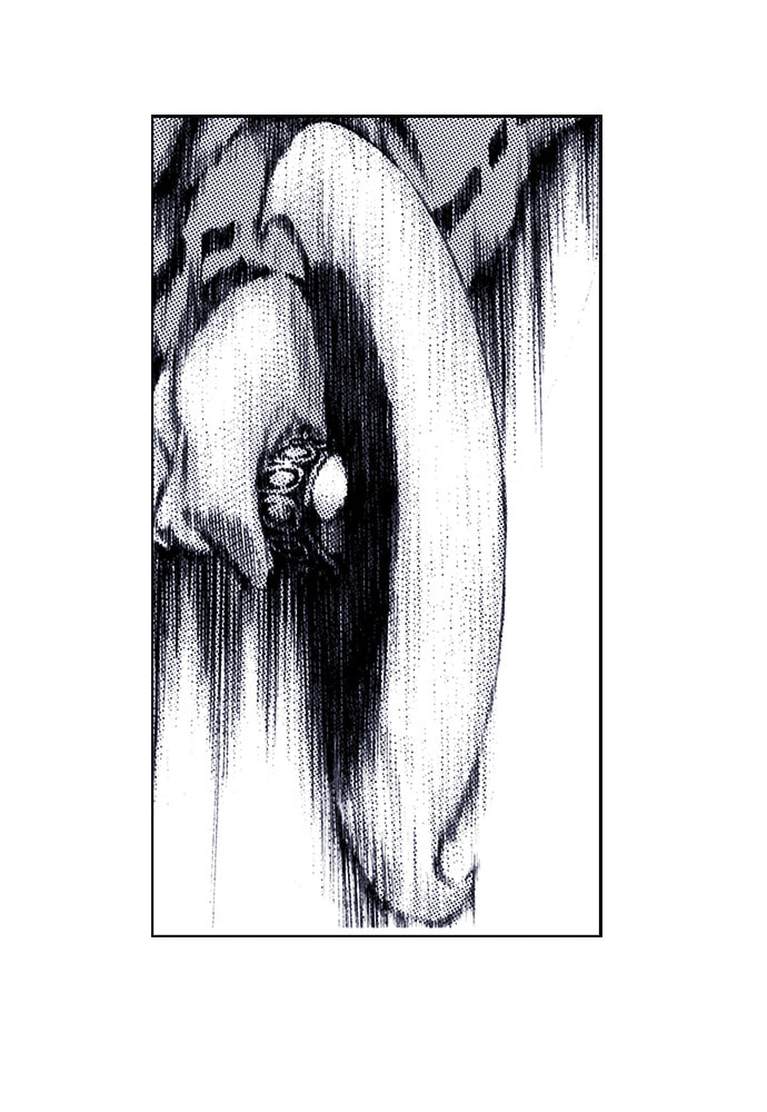 Island Chapter 61 page 61 - 