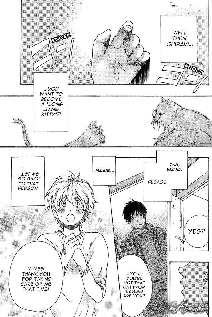 Isn't A Cat Needed? Chapter 1 page 9 - 
