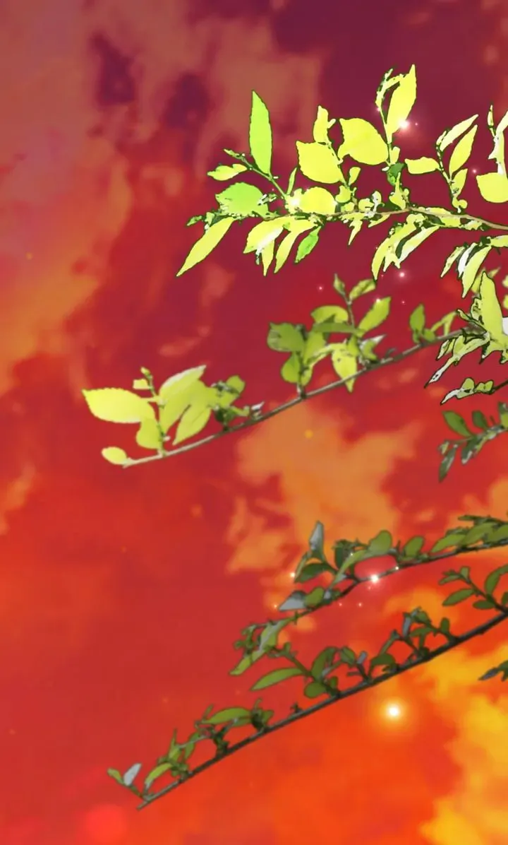 Isnelda Chapter 78 page 56 - 