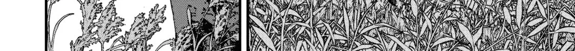 Issak Chapter 12 page 58 - 