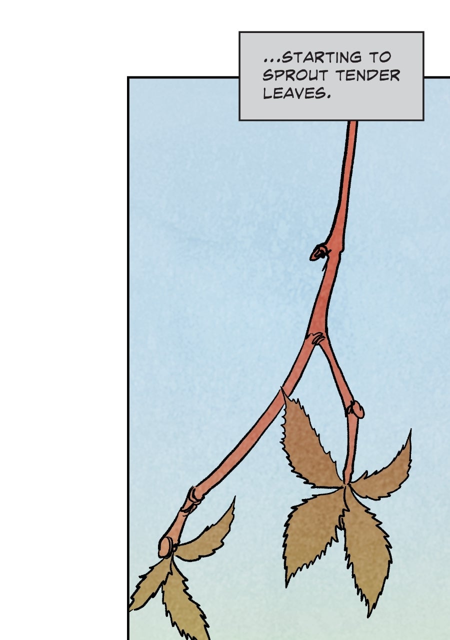 It Rhymes With Takei Episode 11 page 4 - 