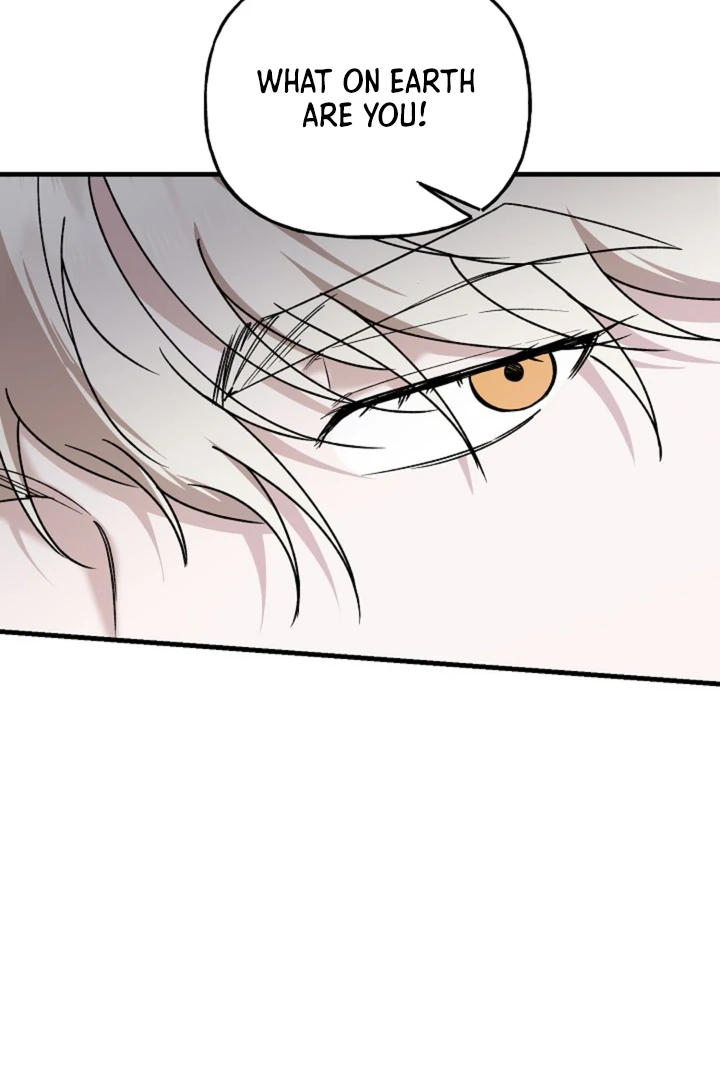 It's a Tiger Chapter 21 page 12 - 