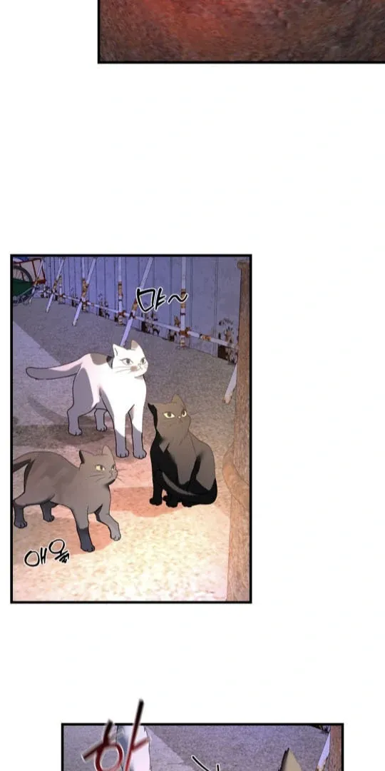 It's a Tiger Chapter 6 page 70 - 