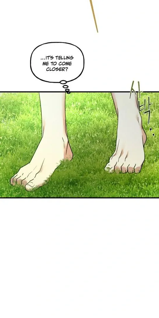 It's a Tiger Chapter 8 page 79 - 