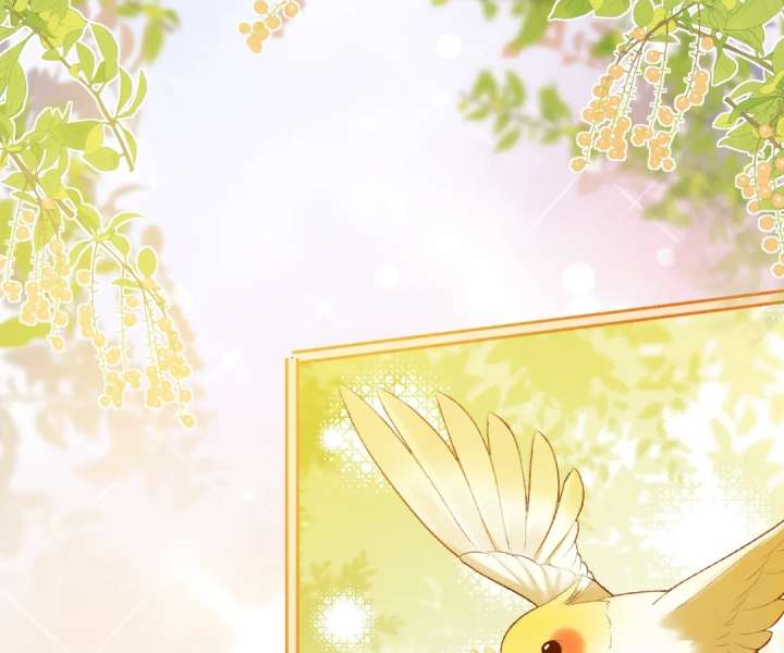 It's Just a Superficial Intention Chapter 52 page 72 - 