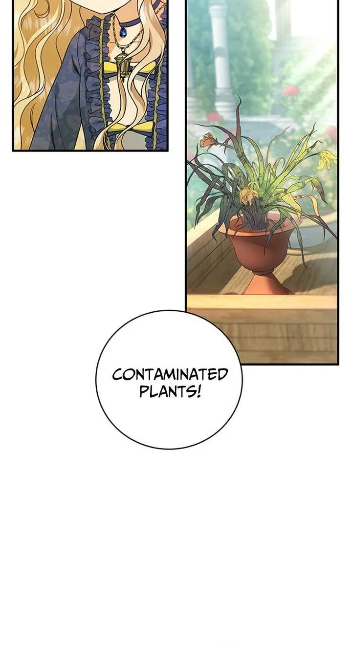 It's My Destiny to Be Hero's Savior Chapter 11 page 58 - 
