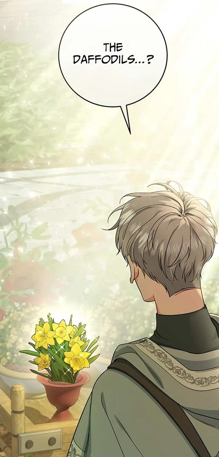 It's My Destiny to Be Hero's Savior Chapter 11 page 93 - 