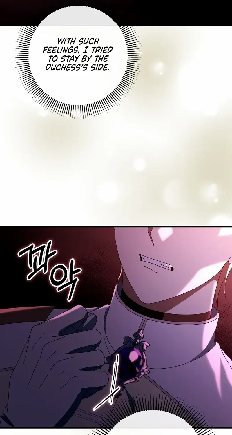 It's My Destiny to Be Hero's Savior Chapter 116 page 11 - 