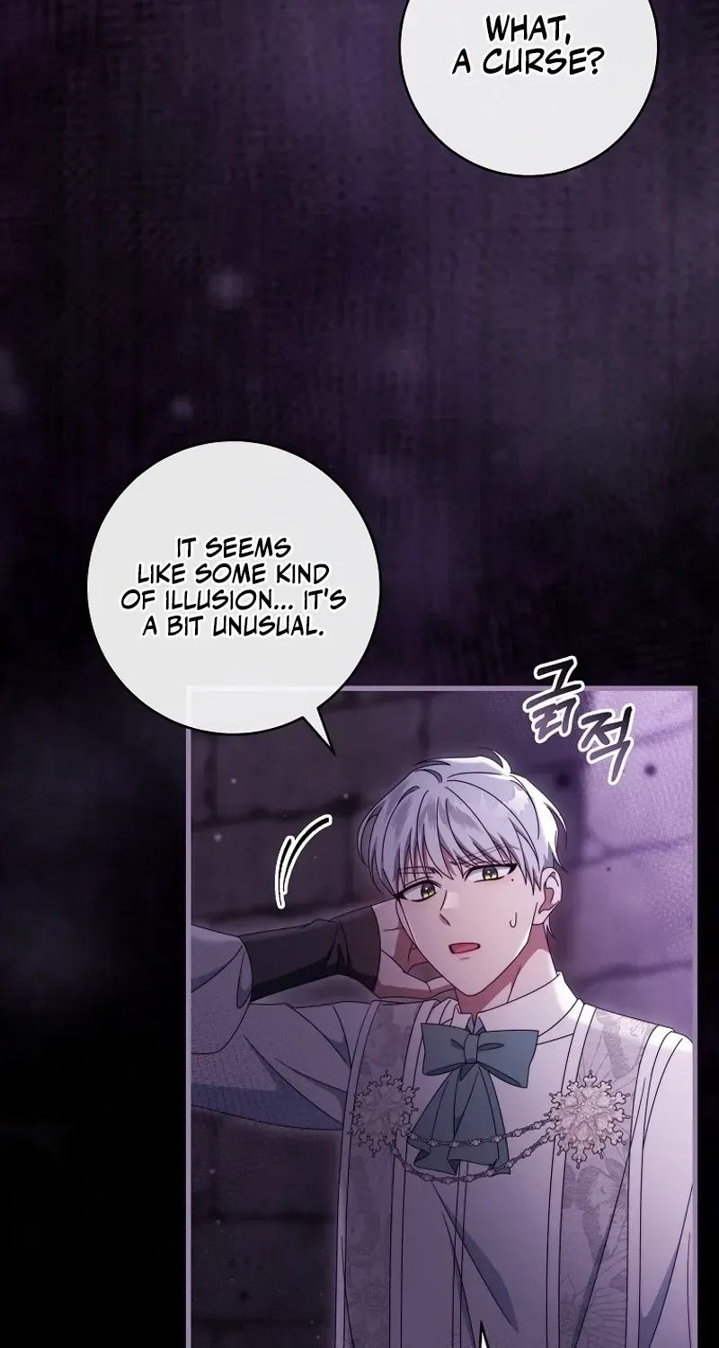It's My Destiny to Be Hero's Savior Chapter 116 page 17 - 