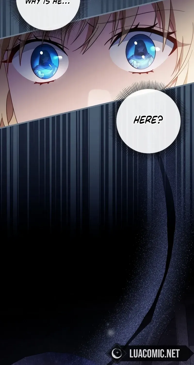 It's My Destiny to Be Hero's Savior Chapter 116 page 89 - 