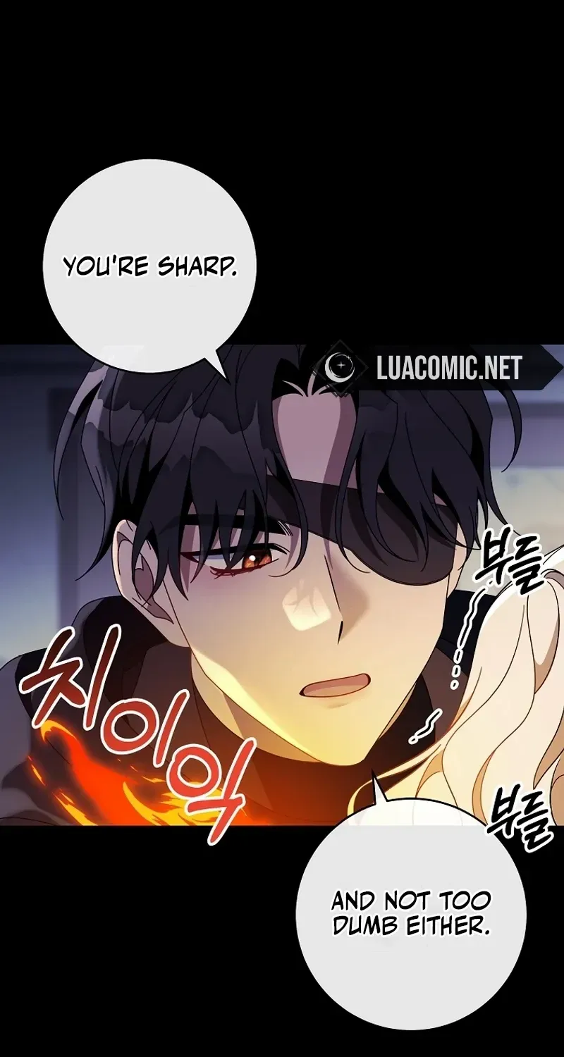 It's My Destiny to Be Hero's Savior Chapter 117 page 5 - 