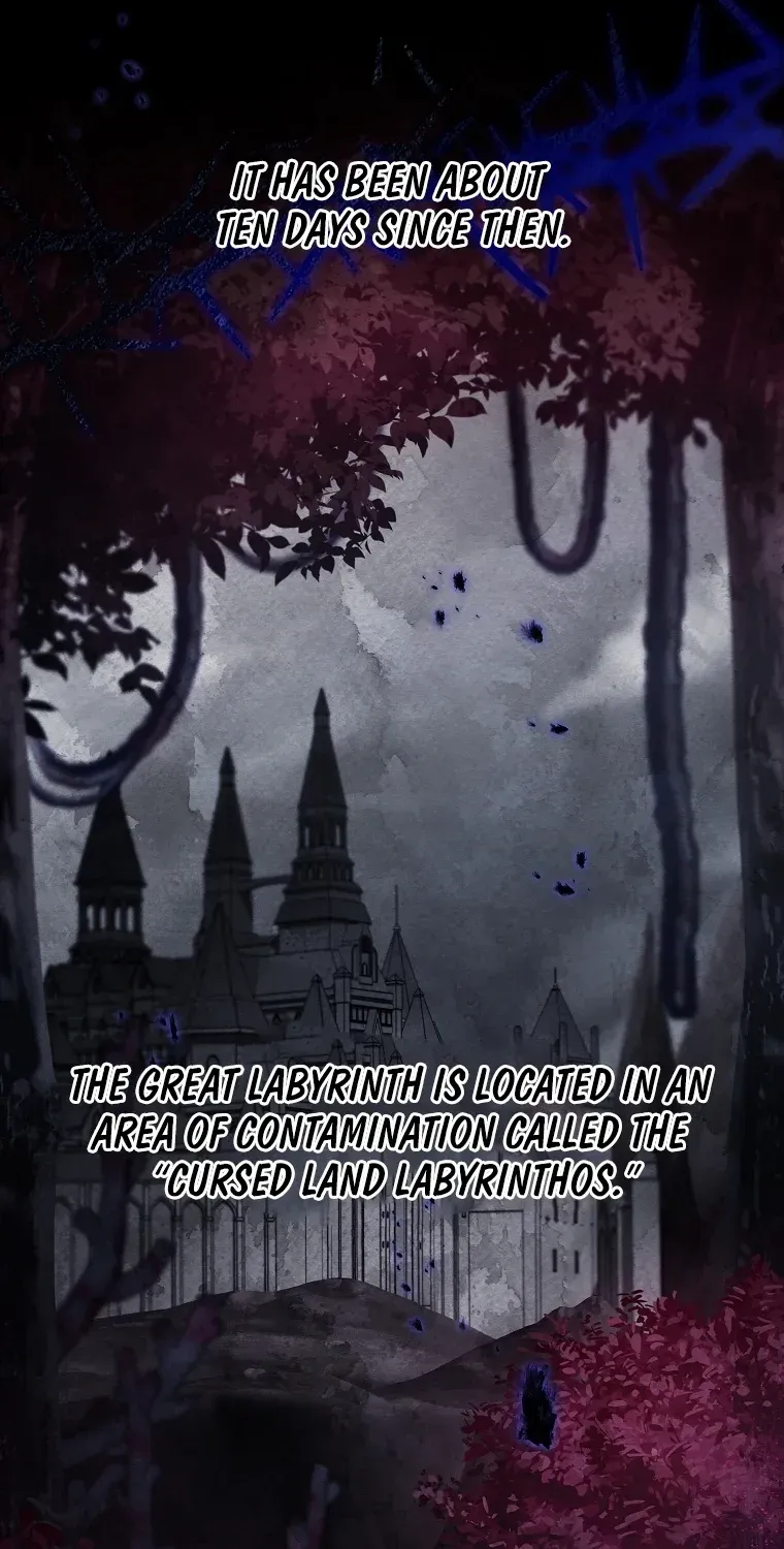 It's My Destiny to Be Hero's Savior Chapter 126 page 19 - 