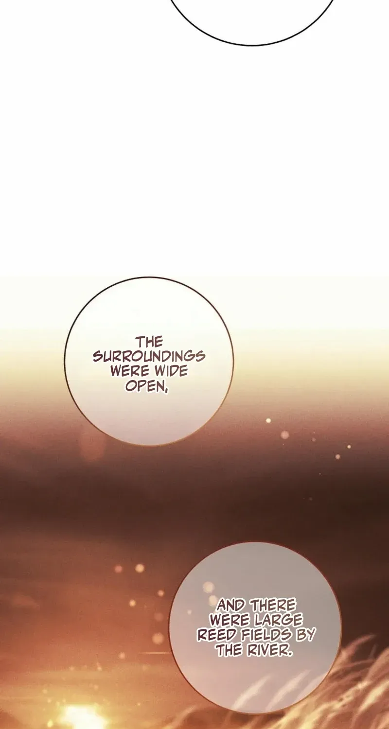 It's My Destiny to Be Hero's Savior Chapter 134 page 46 - 