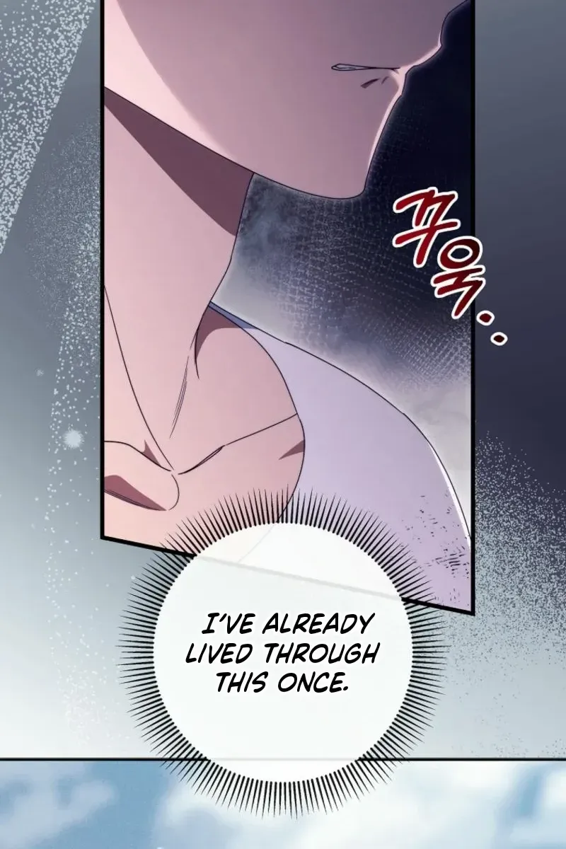 It's My Destiny to Be Hero's Savior Chapter 142 page 63 - 