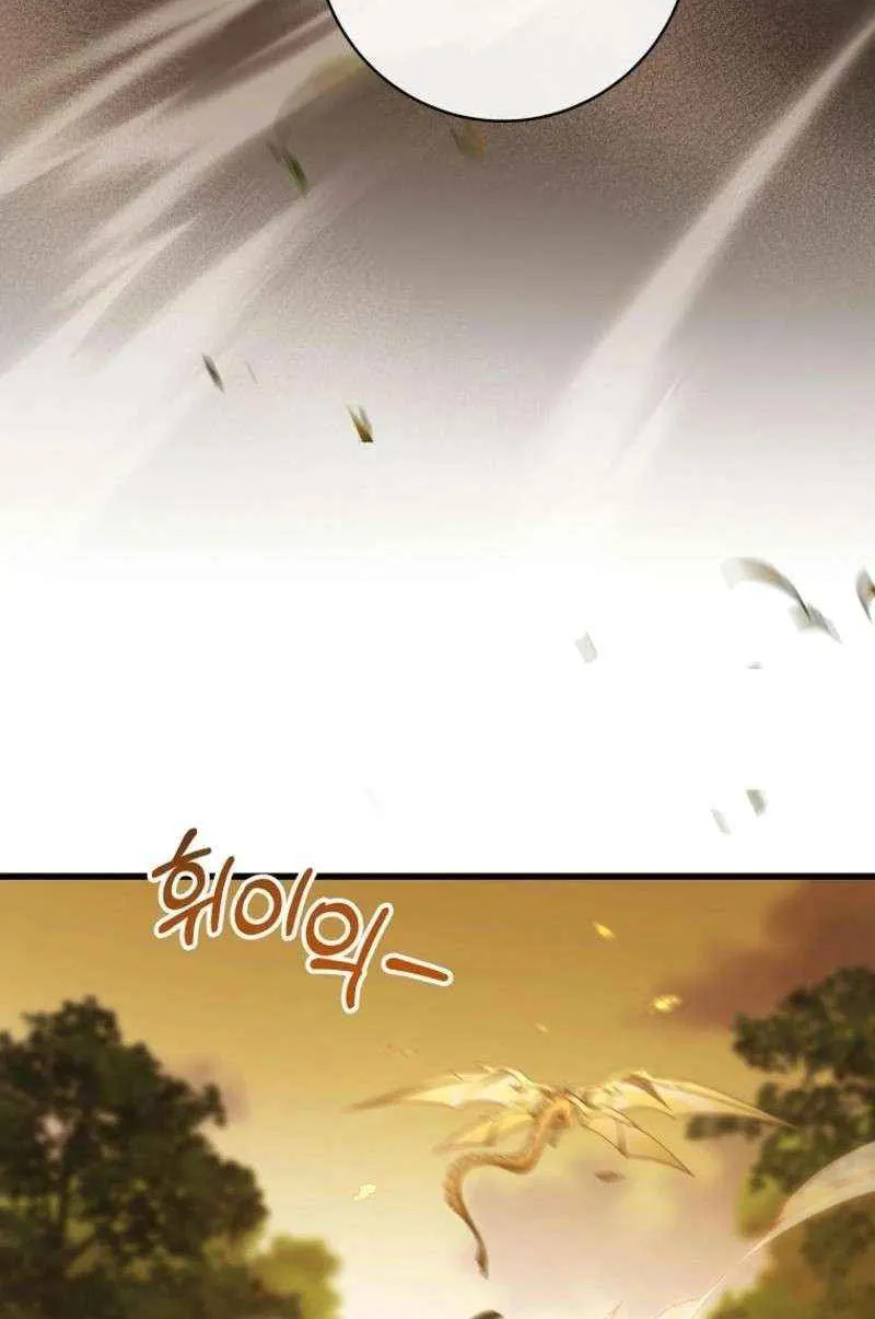 It's My Destiny to Be Hero's Savior Chapter 145 page 72 - 