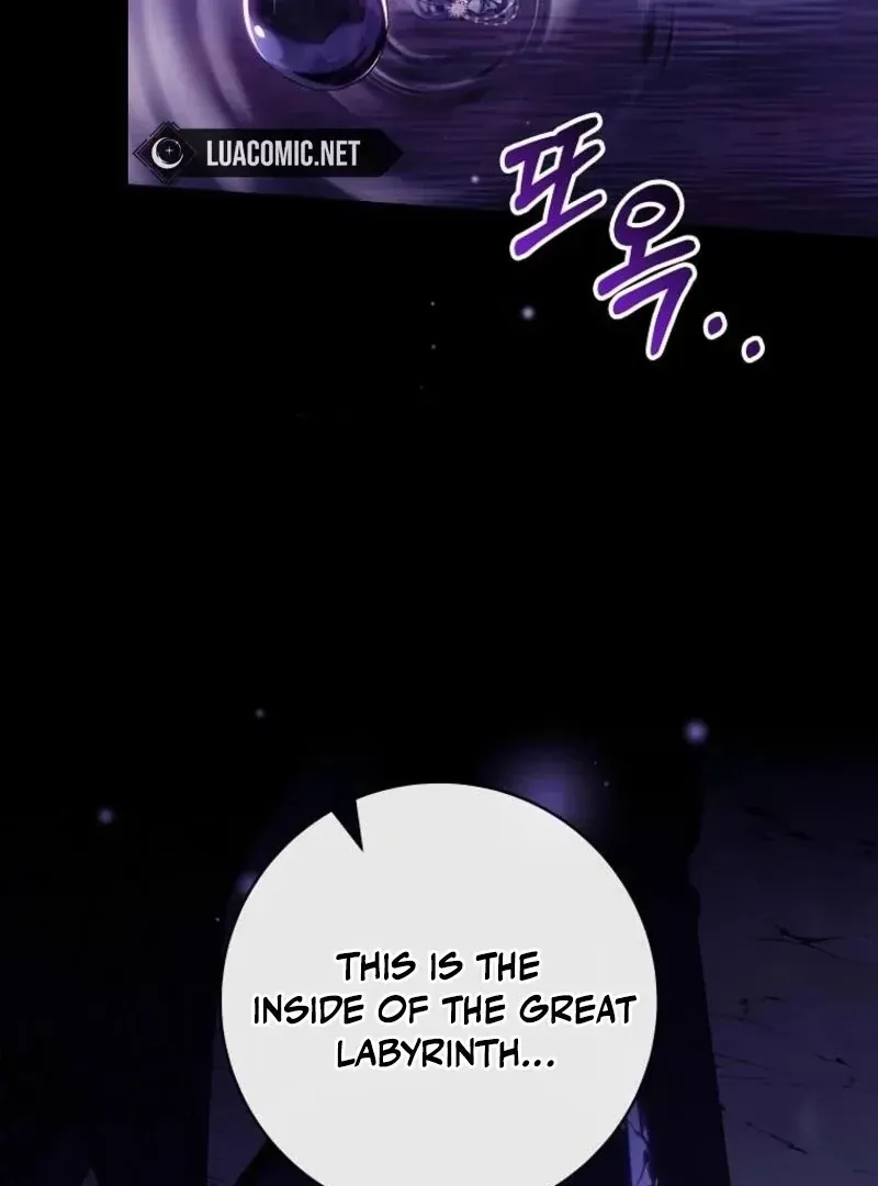 It's My Destiny to Be Hero's Savior Chapter 146 page 120 - 