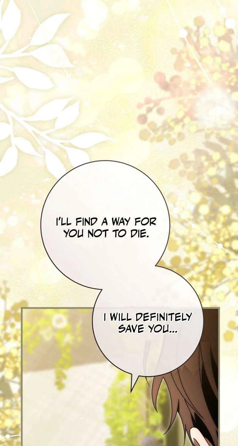 It's My Destiny to Be Hero's Savior Chapter 150 page 81 - 