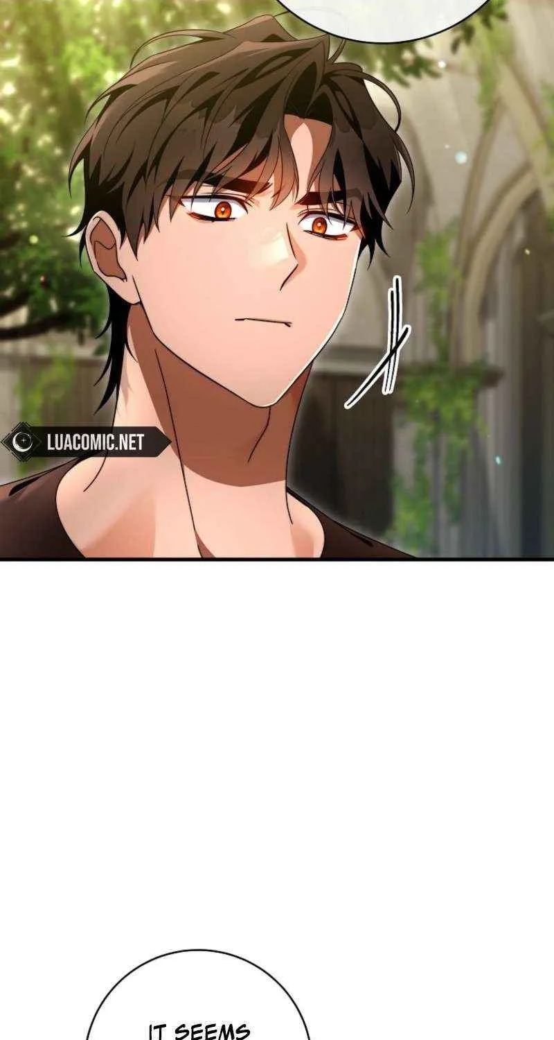It's My Destiny to Be Hero's Savior Chapter 151 page 33 - 